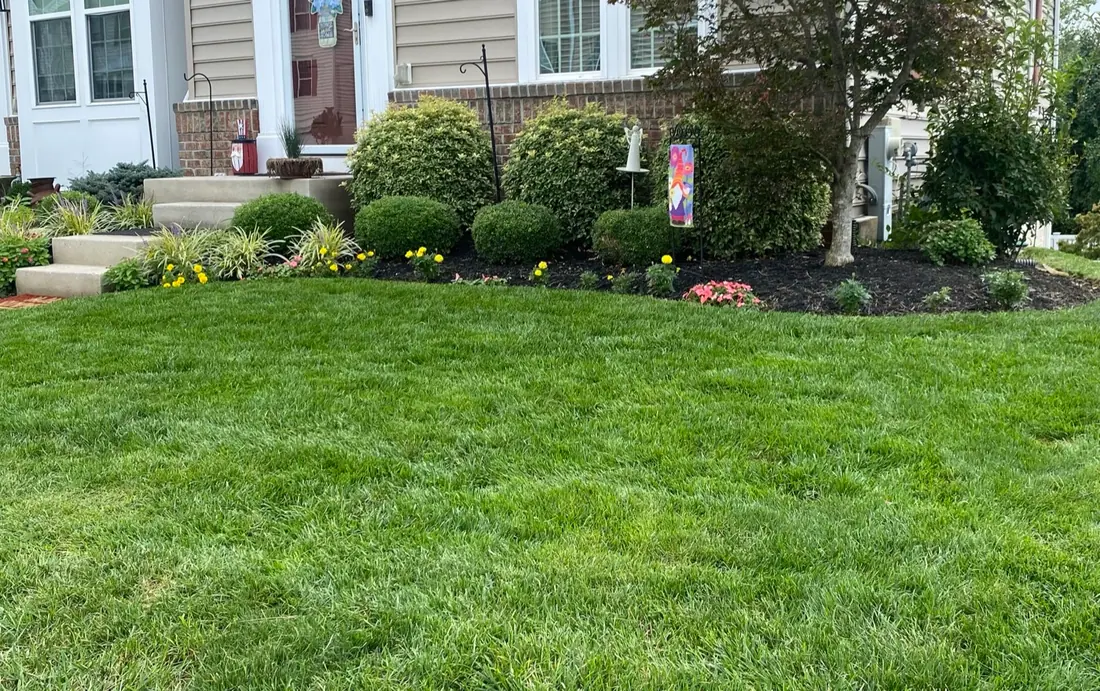 Freshly mulched garden with neatly shaped shrubs and a mowed lawn