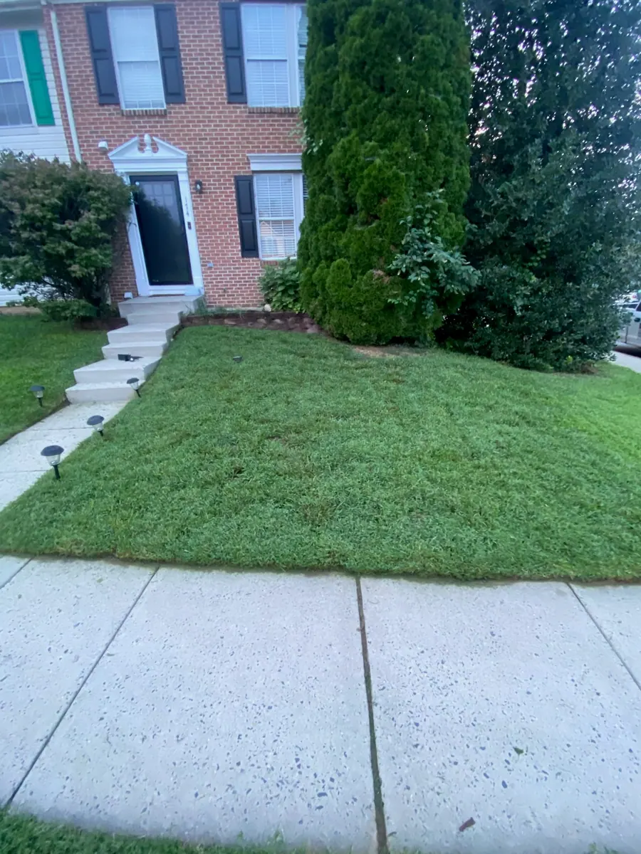 After: the same townhouse front lawn is cut short with a tidy sidewalk edge