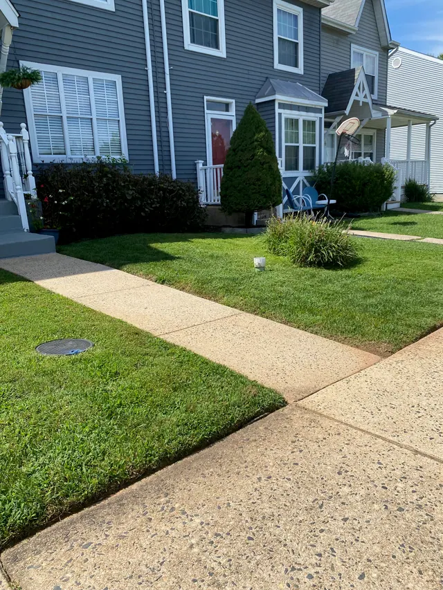 A tidy townhouse lawn with a defined edge along the walkway