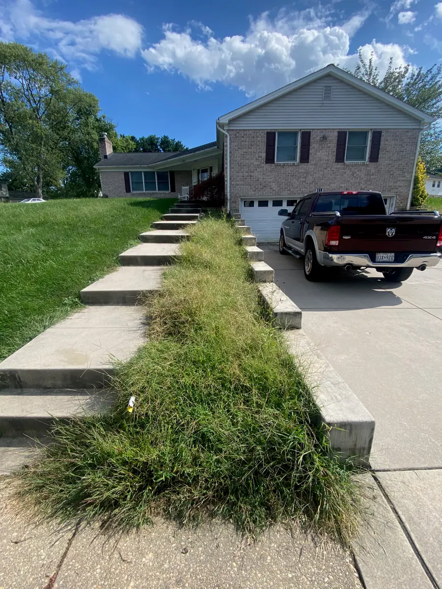 Before: weeds overhang the planting bed alongside the front steps